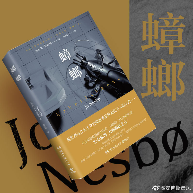 追寻凯蒂霍尔姆斯的艺术之路