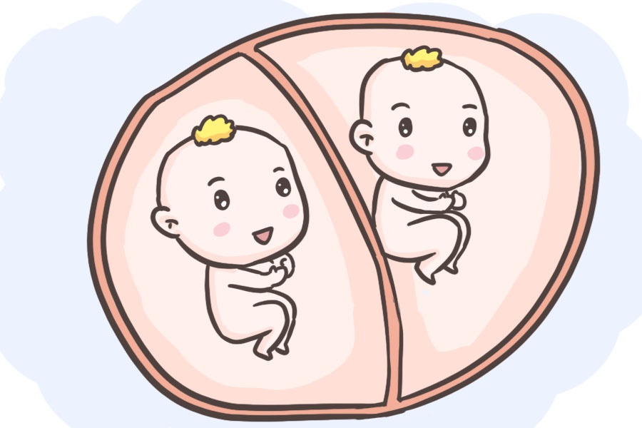 双胞胎宝宝在宫内相拥的照片暖化妈妈,网友:看起来太和睦了吧!