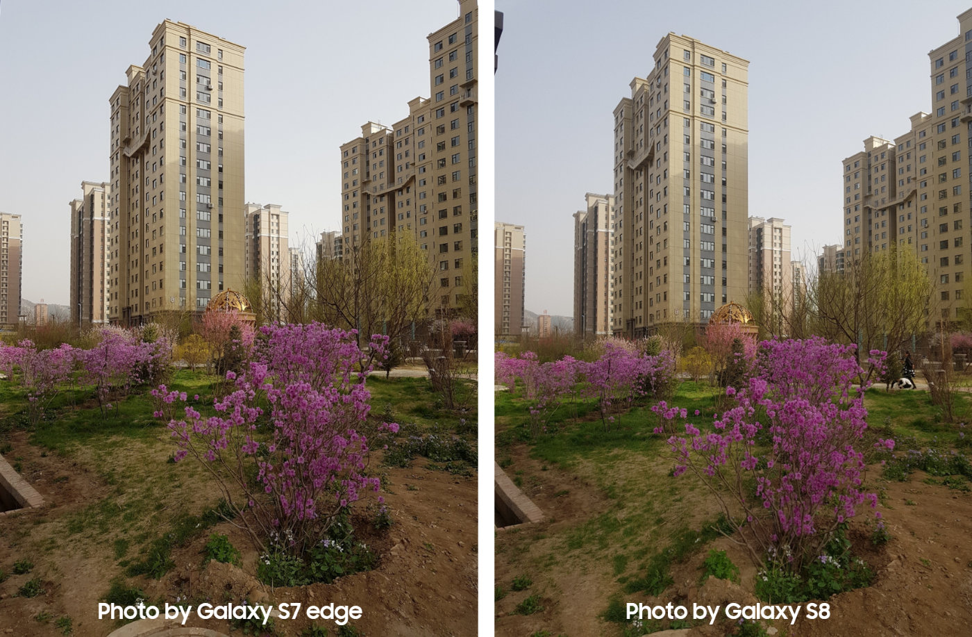 打磨的艺术三星s7edges8s9s10四代旗舰拍照对比