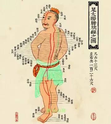 禾中集团董事长赵银虎(2)