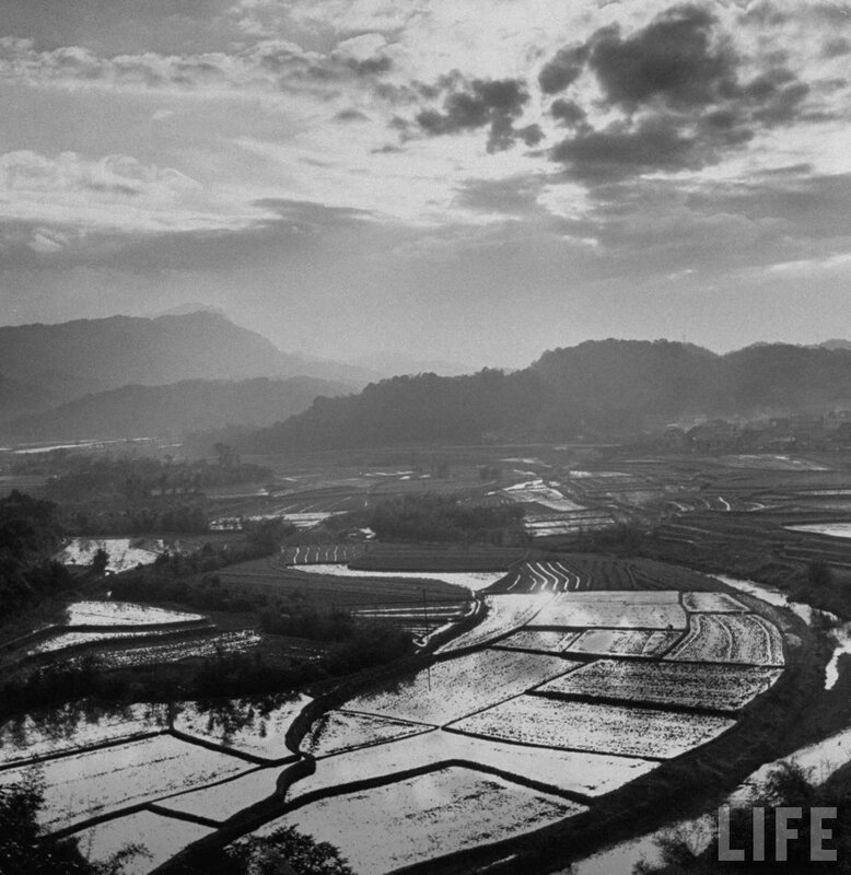 老照片  1959年土改后的台湾  辛勤劳作的农民