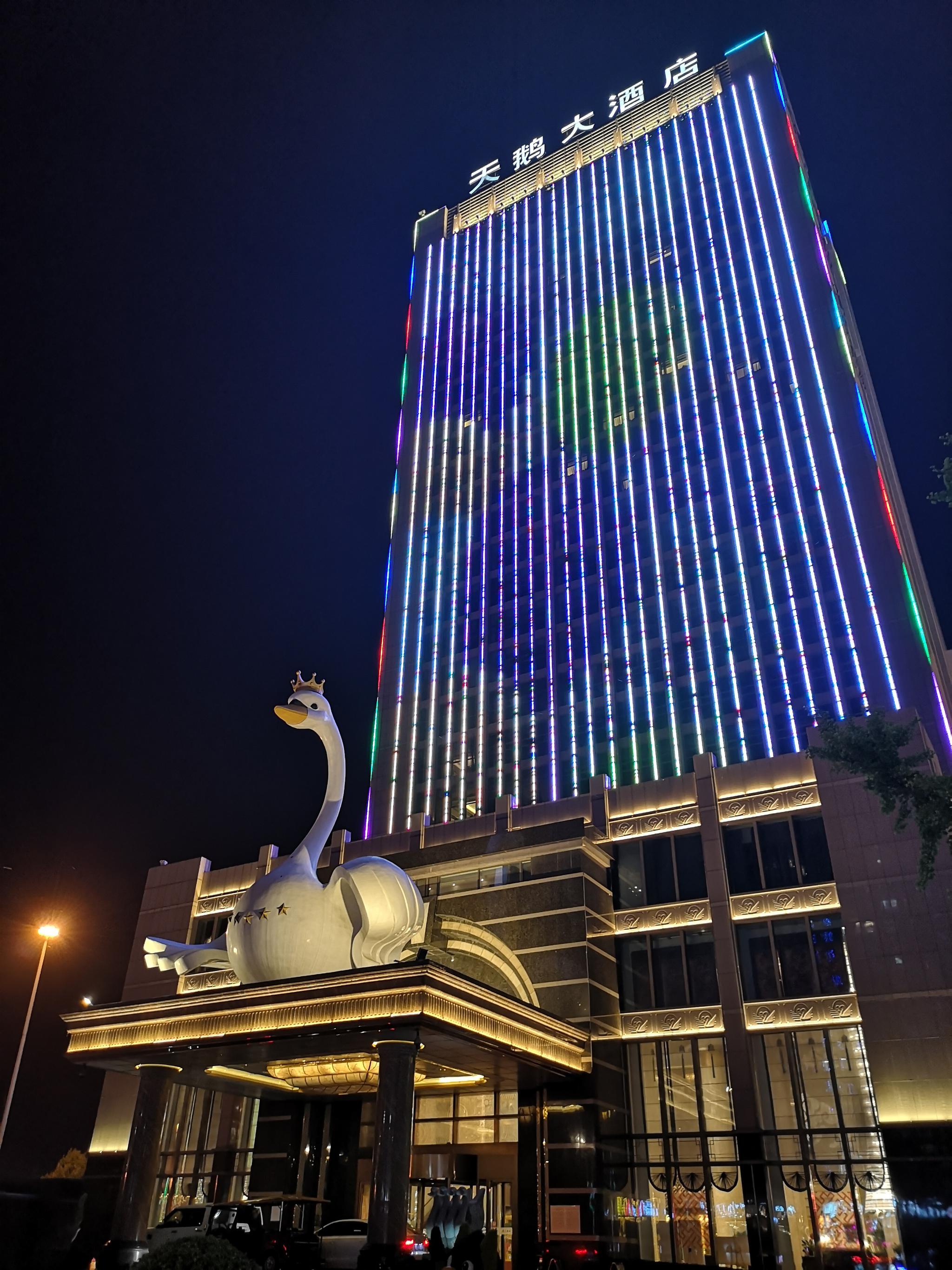 临汾的天鹅大酒店真的好大的天鹅