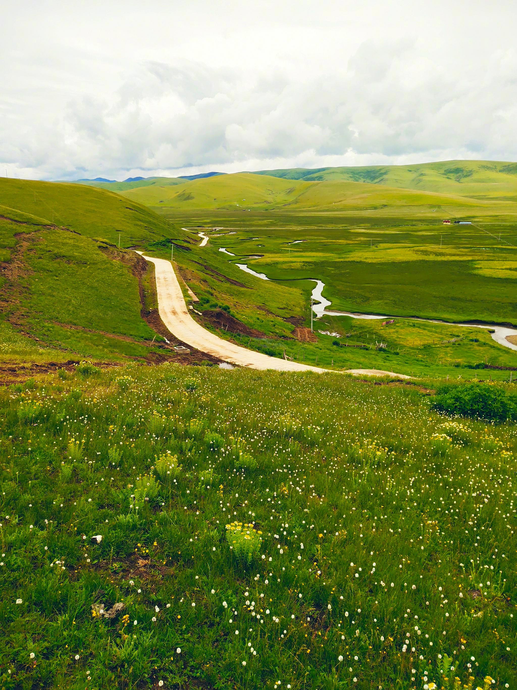宗塔草原遍地的鲜花蜿蜒的河流圆润的山坡可惜天公不作美