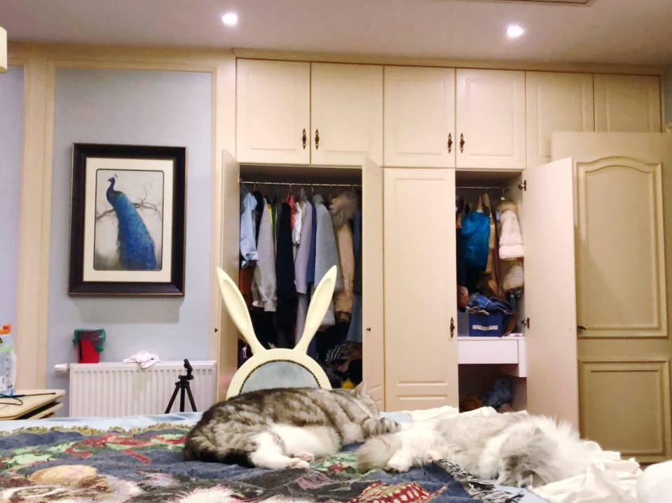 直播完就翻箱倒柜找小熊,从一楼到三楼从阳台洗手间到柜子和抽屉|洗手