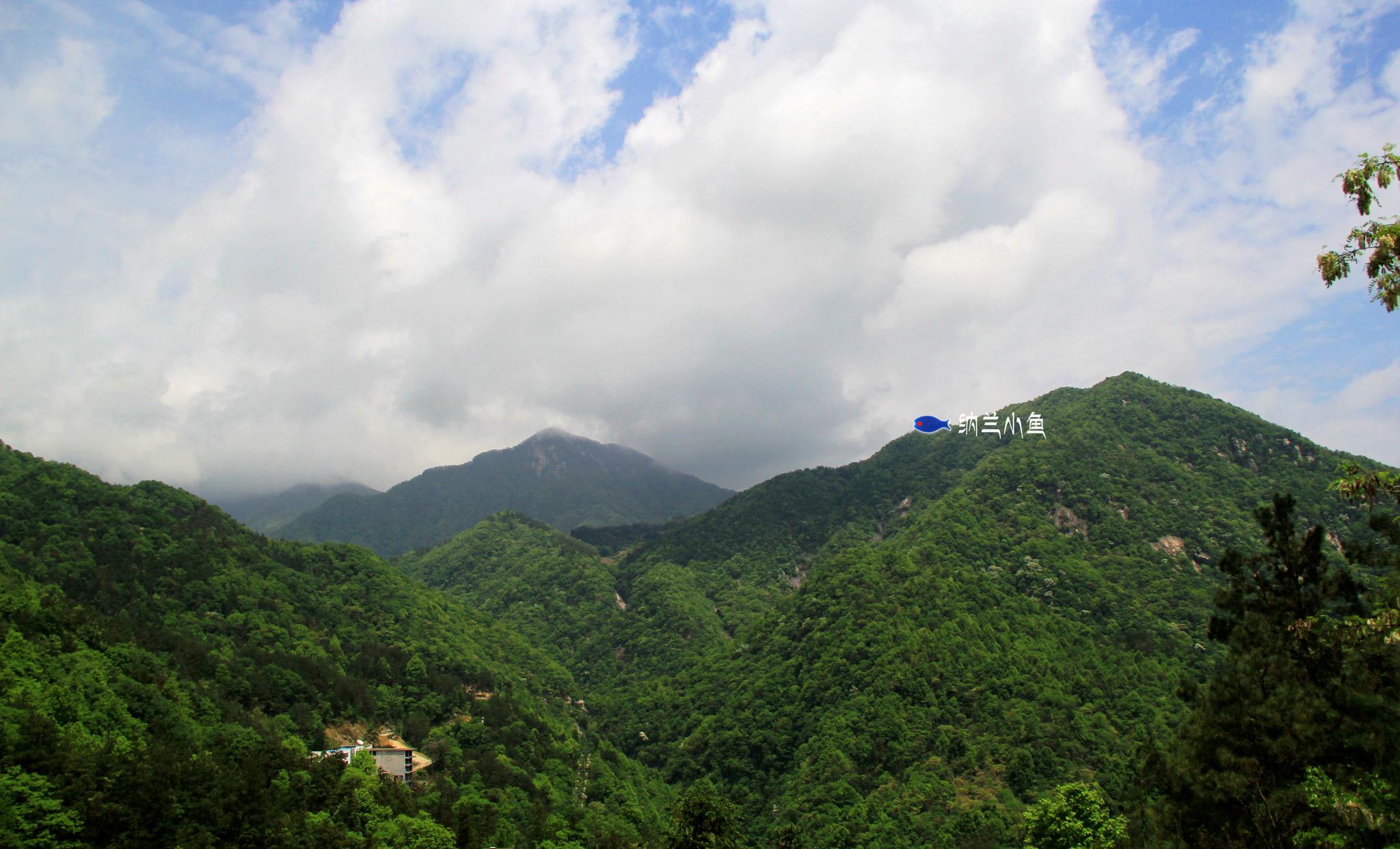 距武汉2小时湖北安徽交界处大别山南麓有个隐匿的森林童话王国