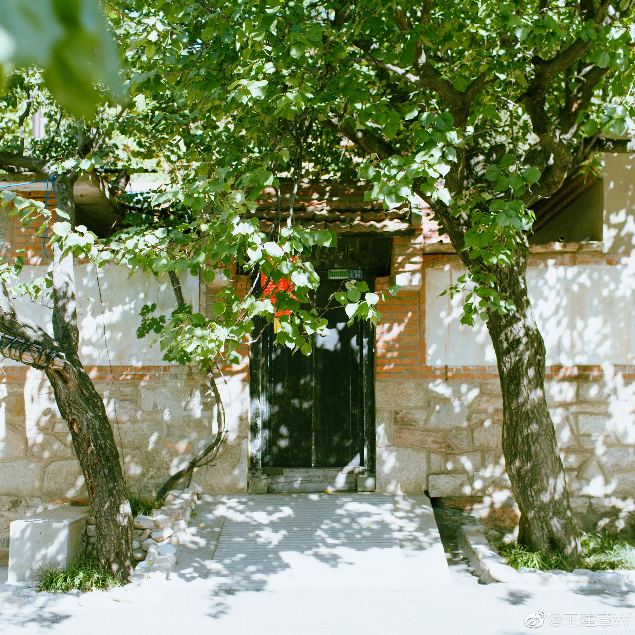 seolae是什么牌子