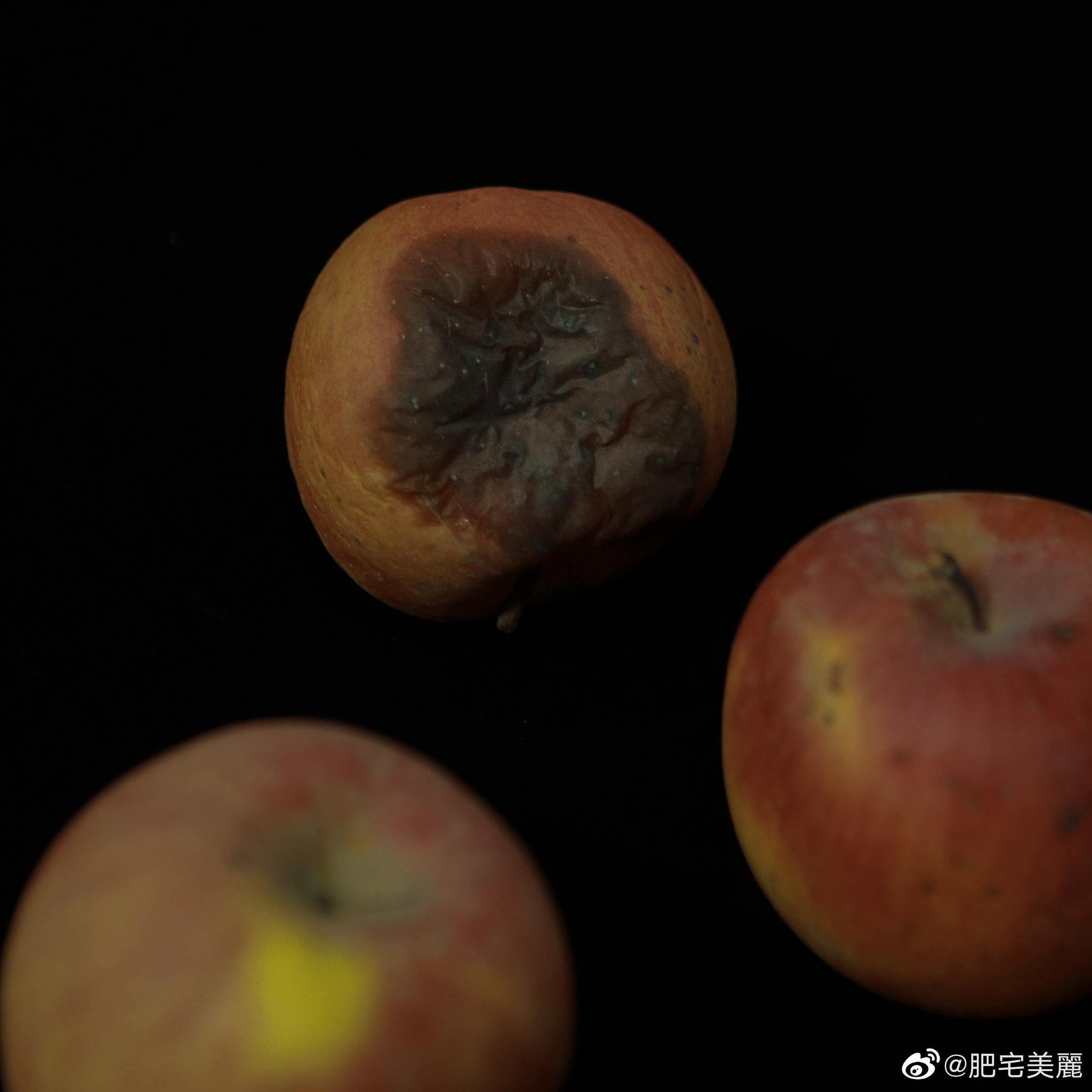 烂苹果被切开 里面是好的