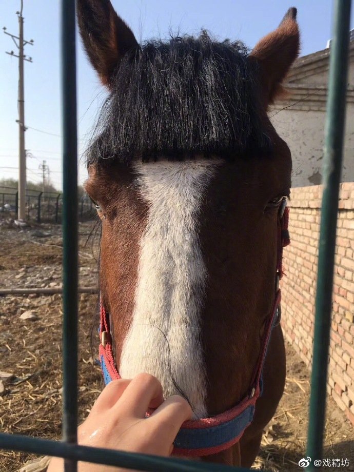 给马剪齐刘海哈哈哈哈哈哈哈哈哈哈哈哈哈哈哈哈哈哈哈哈哈哈哈哈哈哈