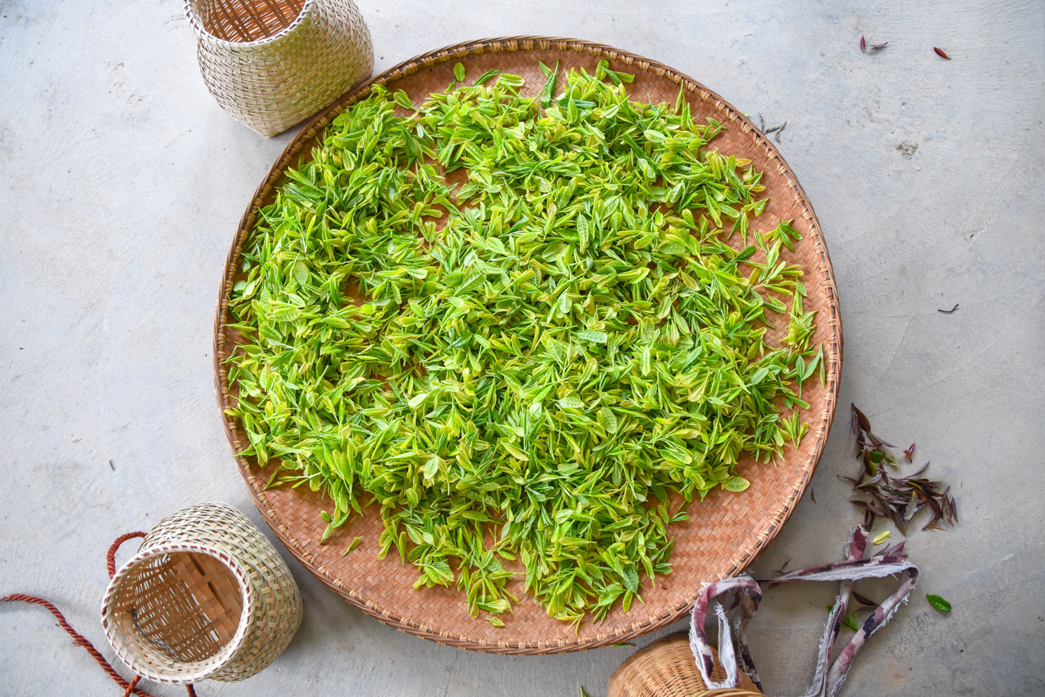 7亿国人缺硒!安徽皖南小县城"中国长寿乡"--石台,专产富硒茶