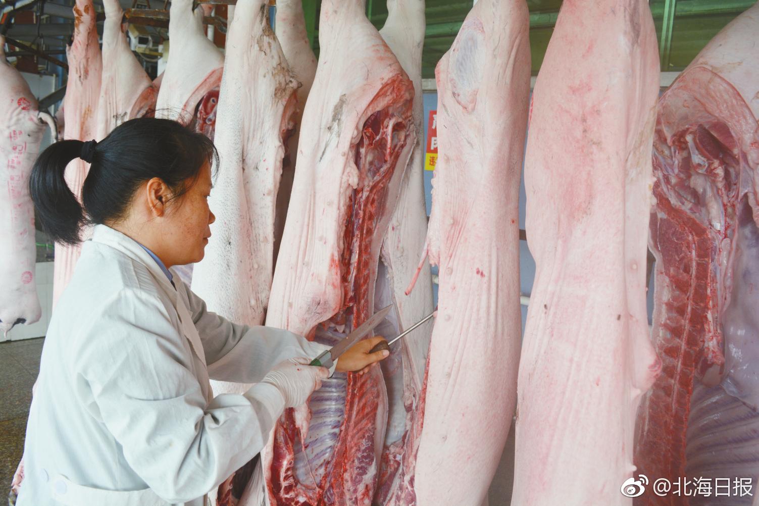 在屠宰场里操刀的女检疫员