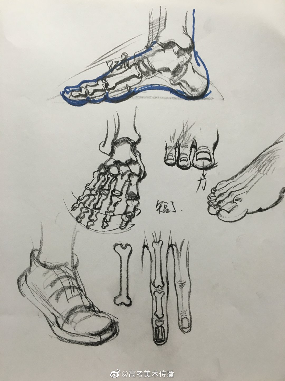 速写局部手脚干货分享. 作者:赵建华|速写|手脚|干货_新浪新闻