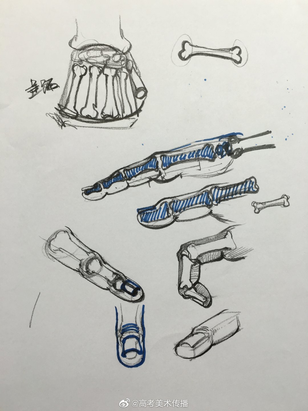 速写局部手脚干货分享作者赵建华