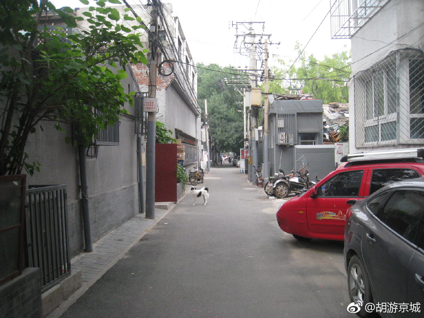 791,板桥胡同,北起石雀胡同,南至东四十四条