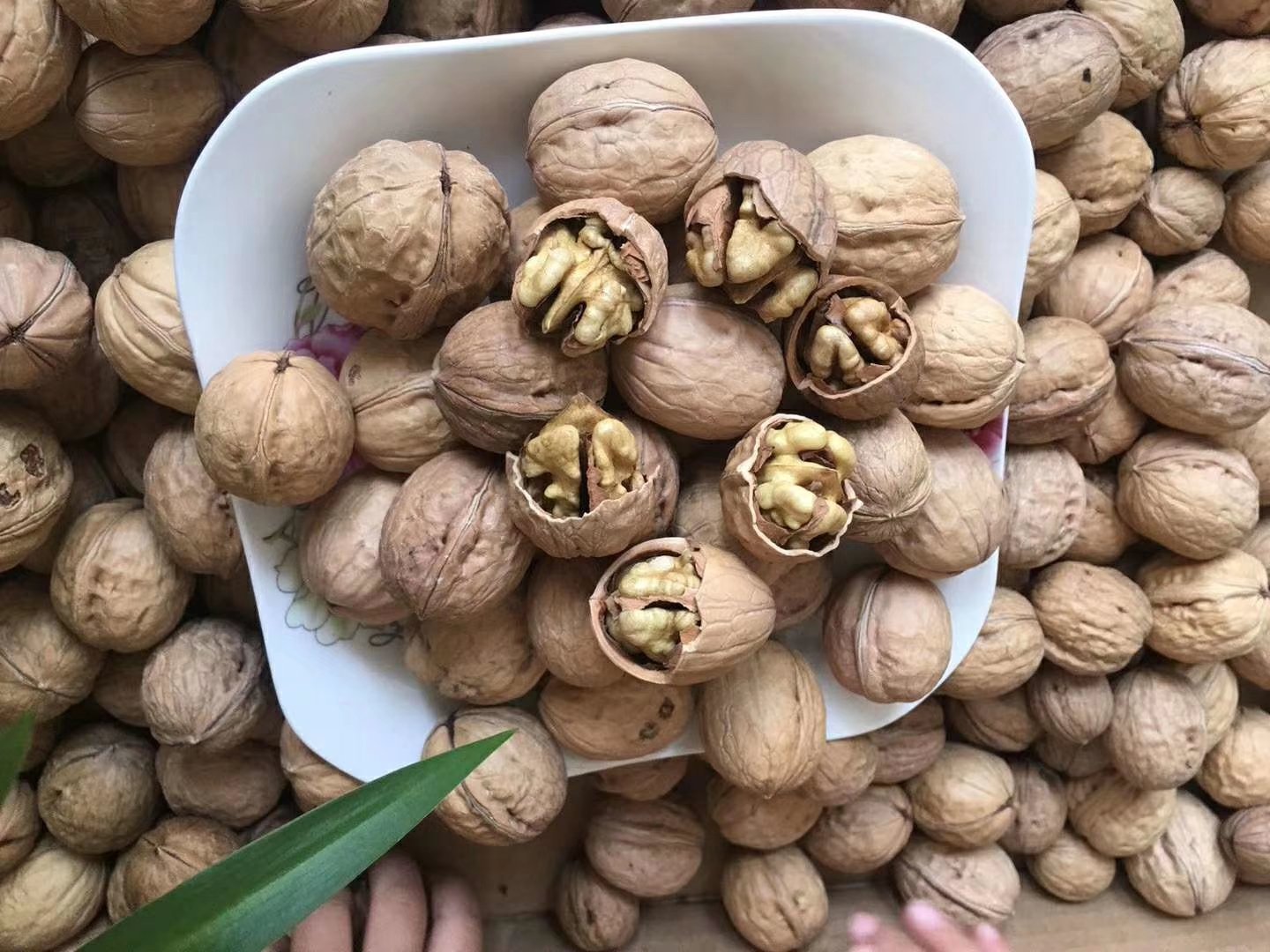 遇见秋实      分享美味 新鲜干核桃   只为等你哦 大量接单 记得私信