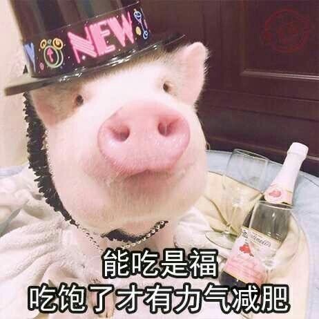 猪猪女孩放心吃你不吃我吃真不差这一顿