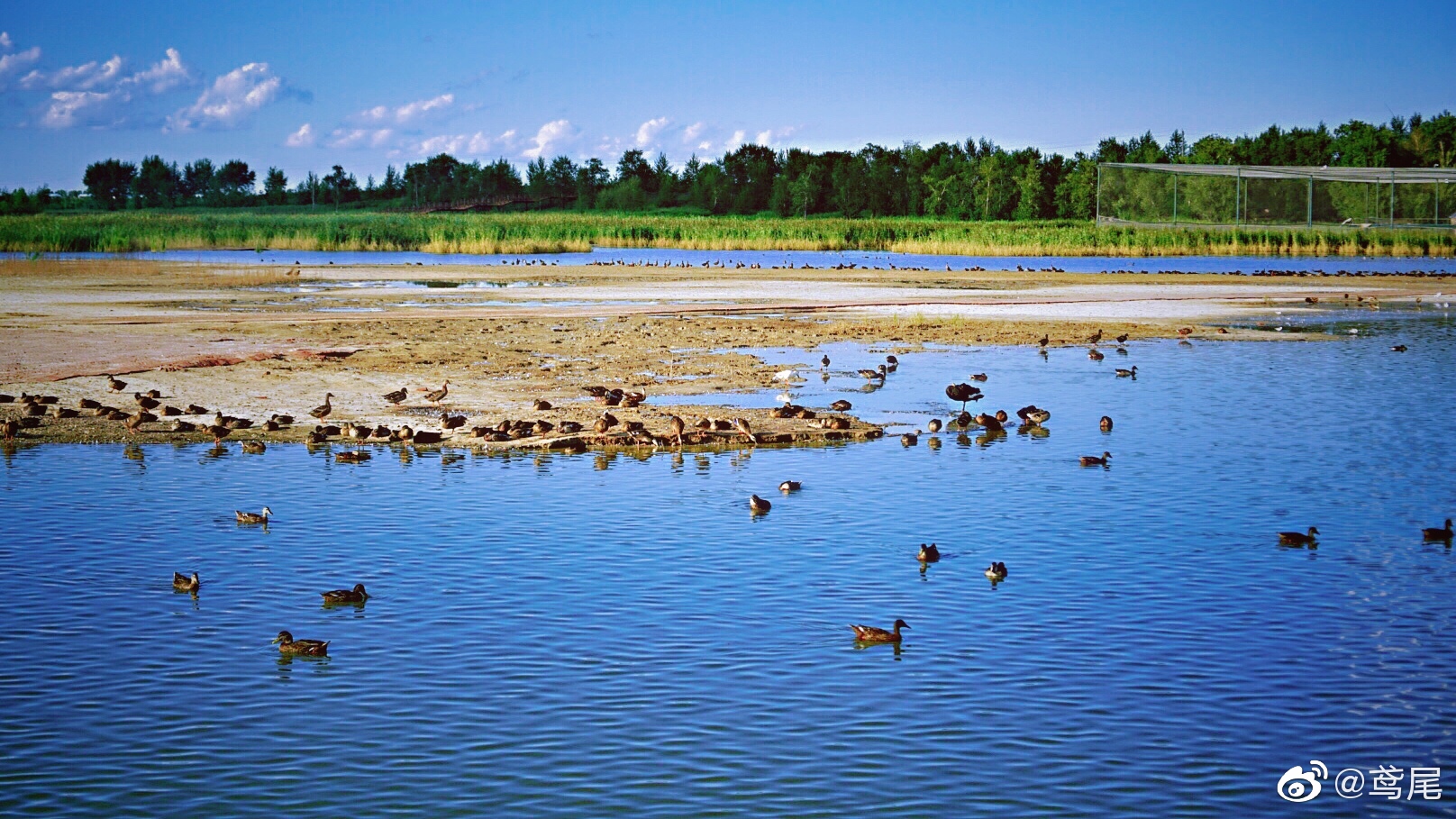 一汽-大众查干湖第二十届冰雪渔猎文化旅游节 ID.家族满电来袭