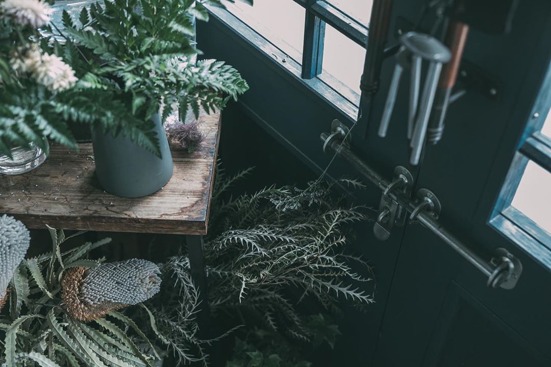 平淡的生活记录 日本摄影师coji_n