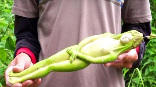 泰国一种奇怪的水果外形像似女人游客一眼看穿其内幕