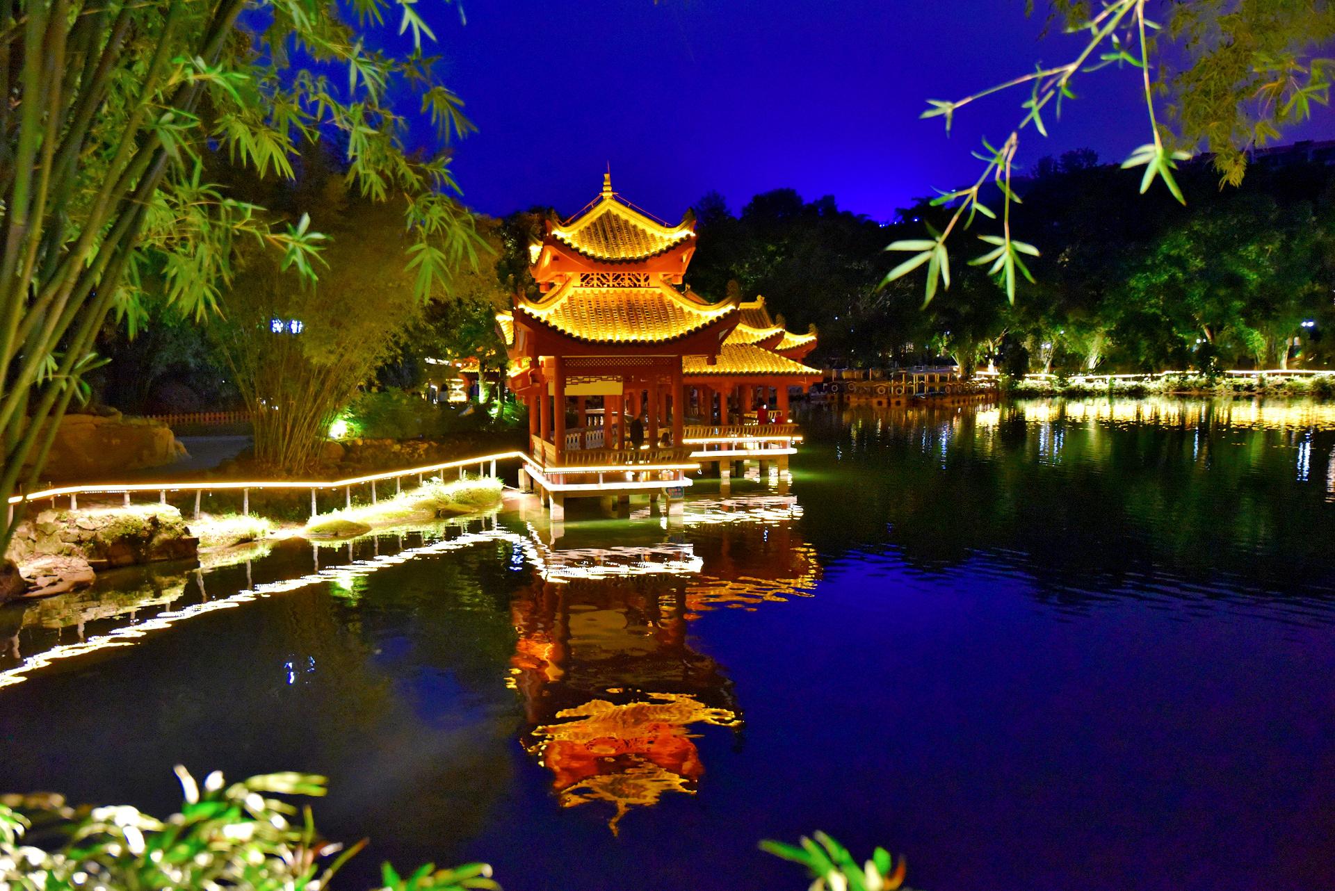 碧津公园夜景图片