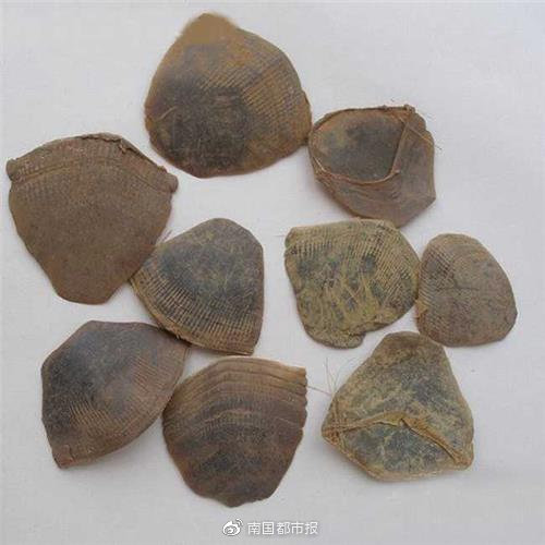 暑期出境游这些特产就别带回来了