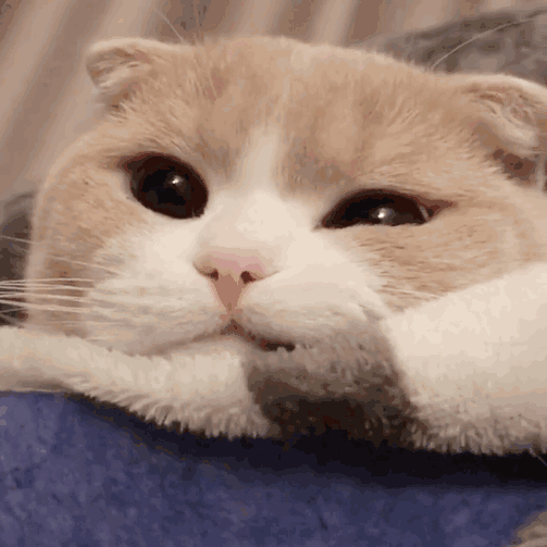 wink!…脚踏实地!弱小可怜无助!流泪!