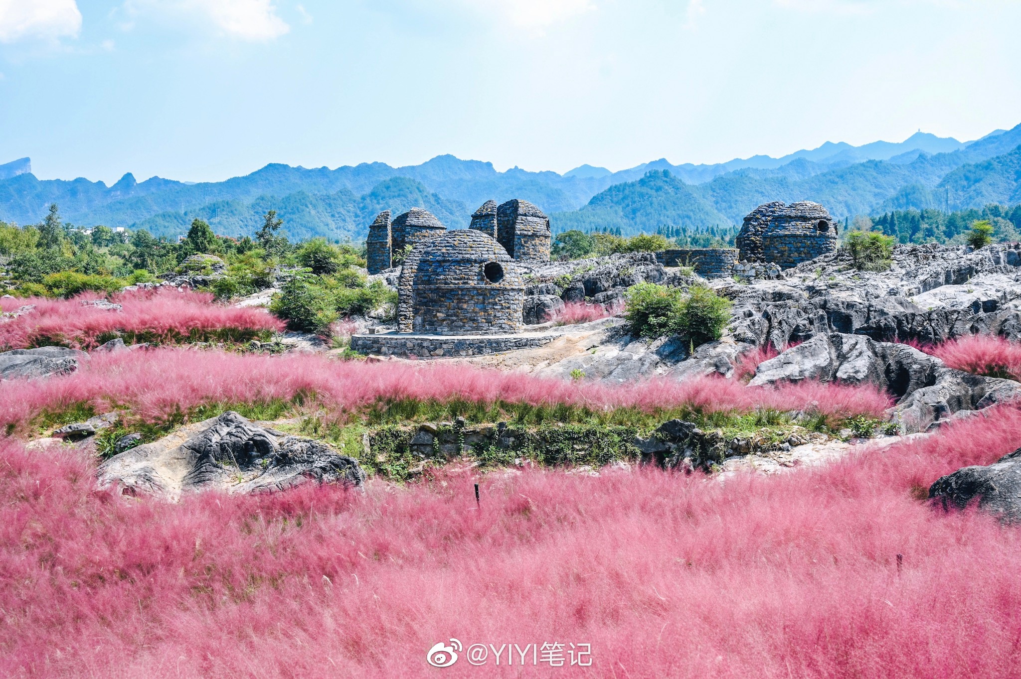 叠石花谷遍地的粉黛乱子草秋天也可以是浪漫的粉色呀