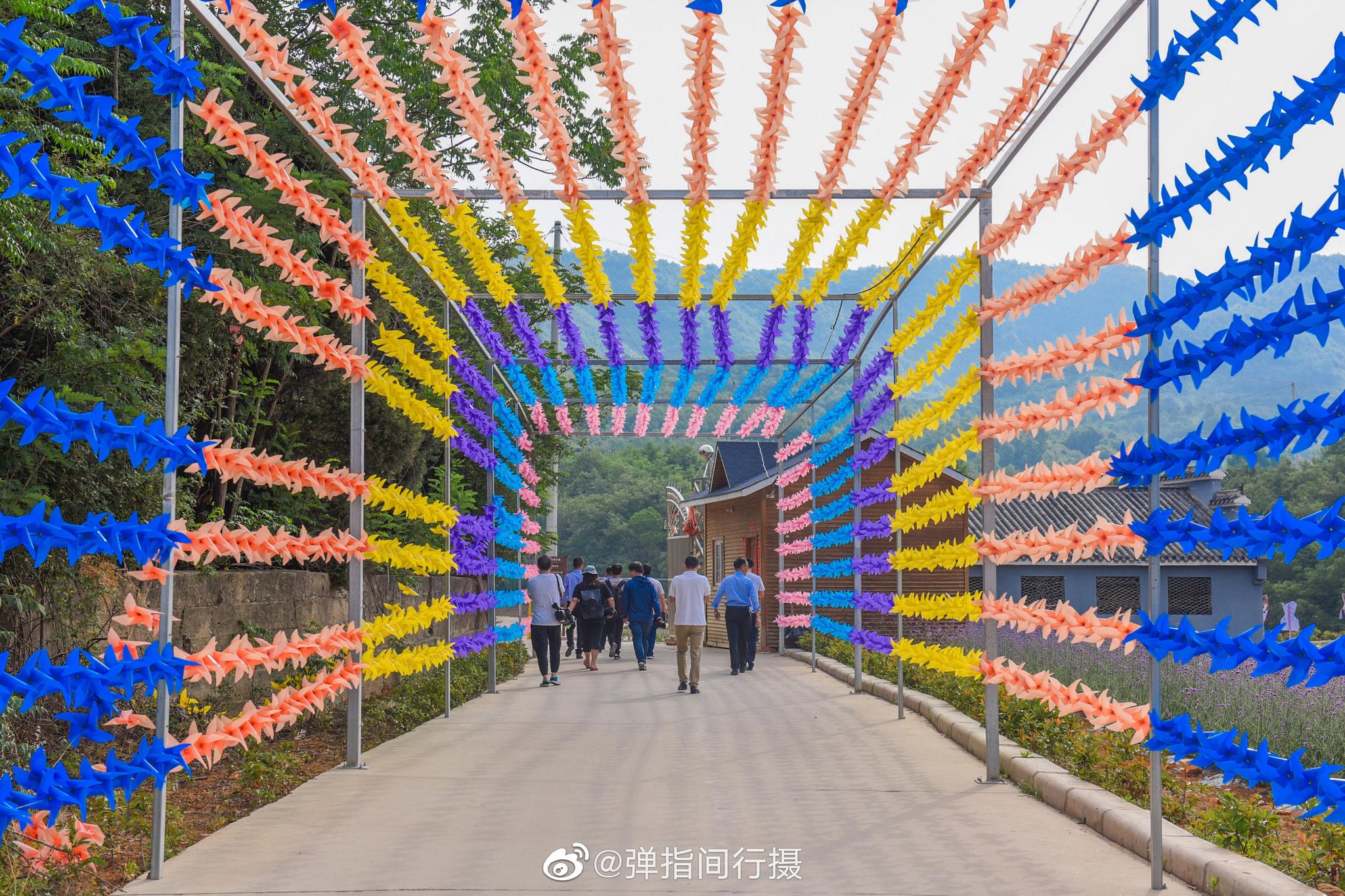 初夏游河南,第一站来到河南南阳淅川丹江孔雀谷