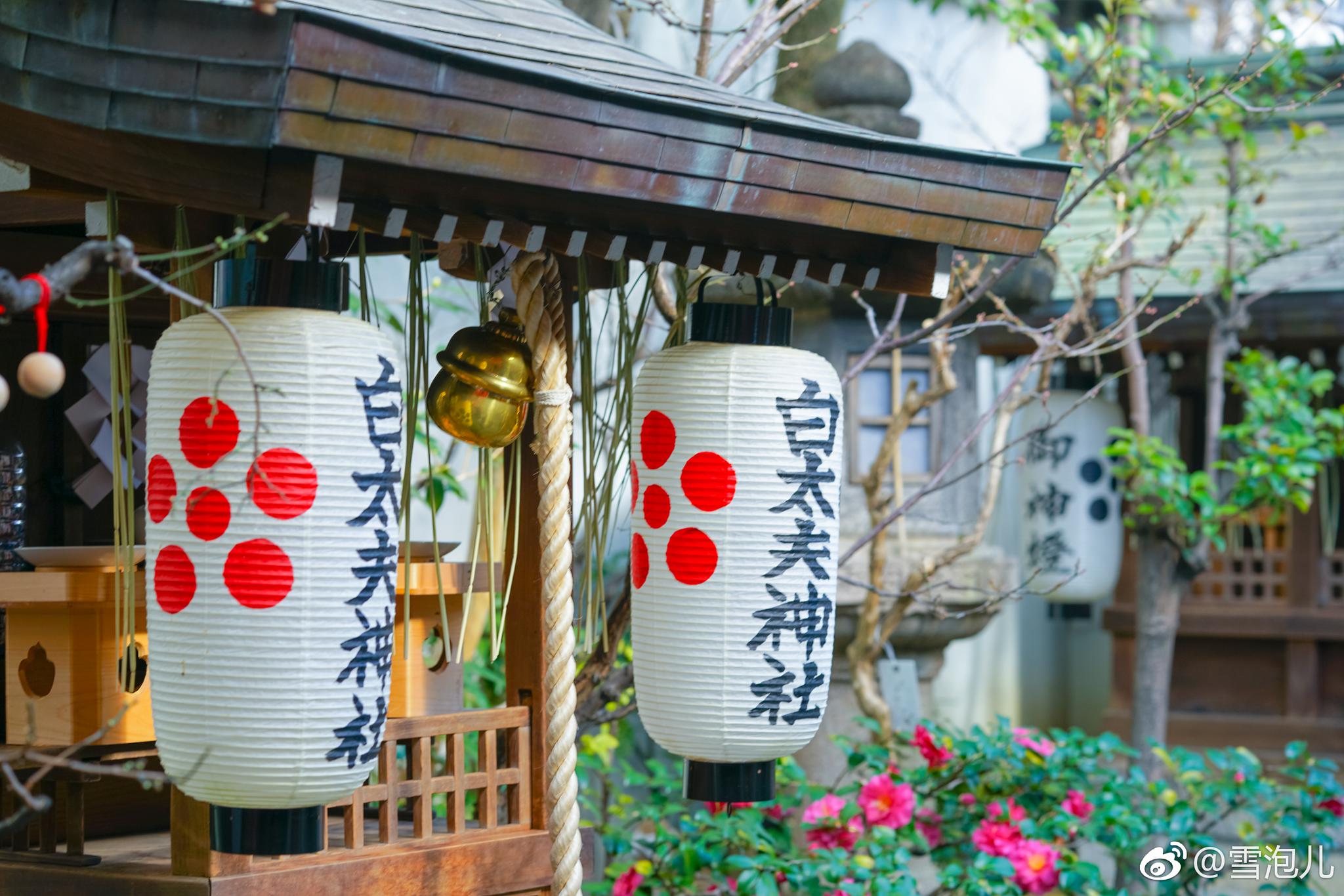 锦天满宫,去过了一些大大神社,对锦天满宫却非常大喜欢|锦天|神社|天满宫|泉水|京都_新浪新闻