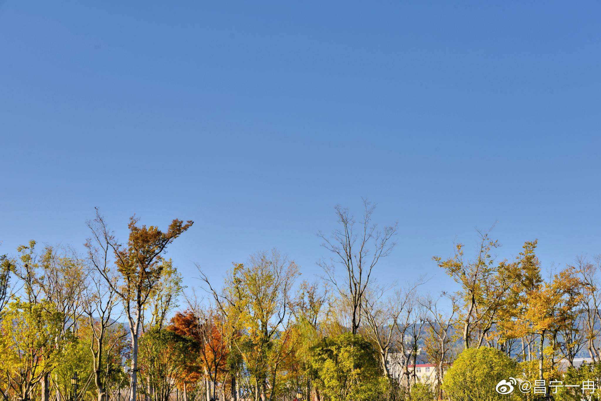 美丽昌宁·冬日午后享暖阳