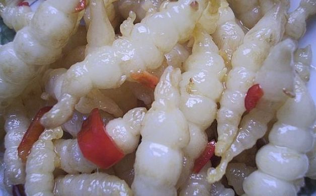 农村田地里的"小白虫"俗称土虫草,城里人却把它当杂草|草石蚕|虫草