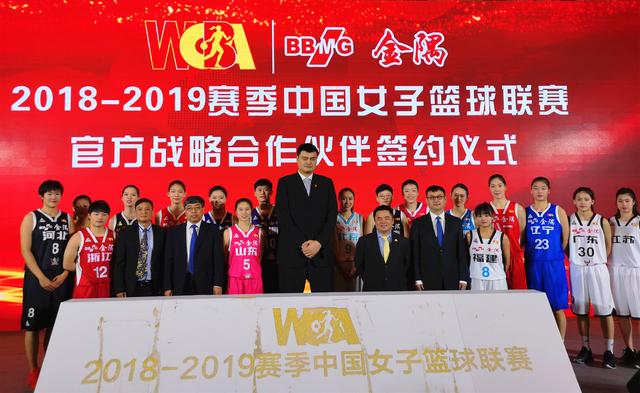 北京女篮晋级四强 金隅球迷方阵红动wcba|金隅集团|杨半伴|北京女篮