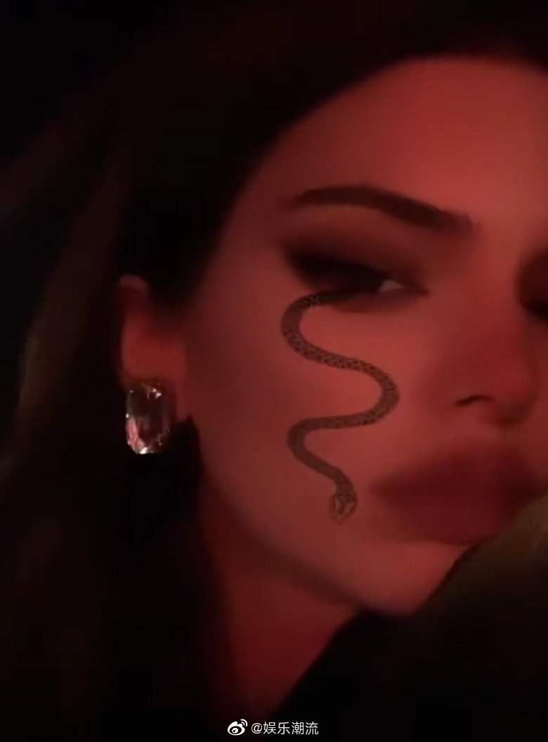 Kendall肯豆发布instagram Story 蛇蝎美人 滤镜