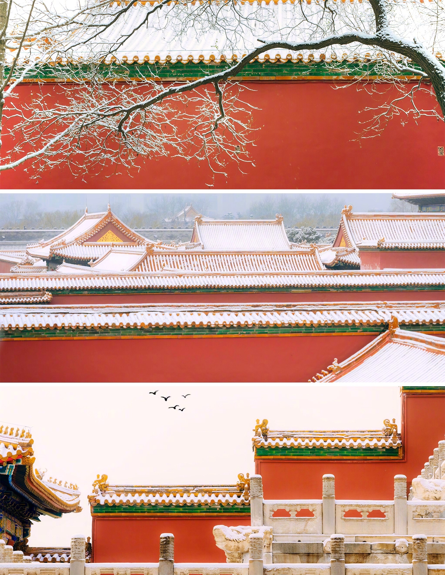 紫禁城初雪