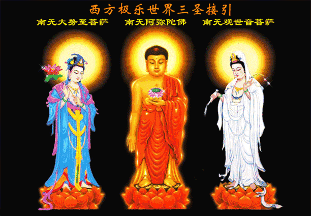 阿弥陀佛长时间放光接引比丘尼附殊胜视频