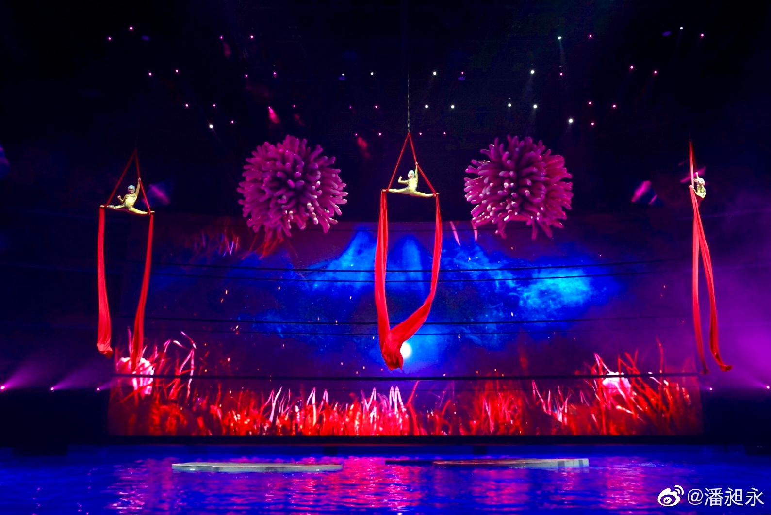 表演元素训练游戏