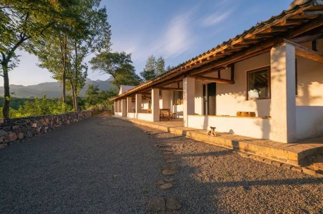 "回归"自我,西安十佳最美民宿之蓝田九间房镇桐花乡约民宿