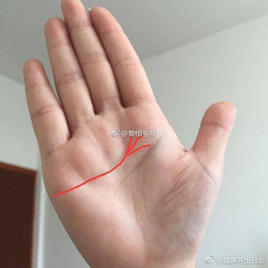 手相中最主要的三条线 感情线 智慧线和生命线 男人左手代表自己 手相中最主要的三条线 感情线 智慧线和生命线 男人左手代表自己