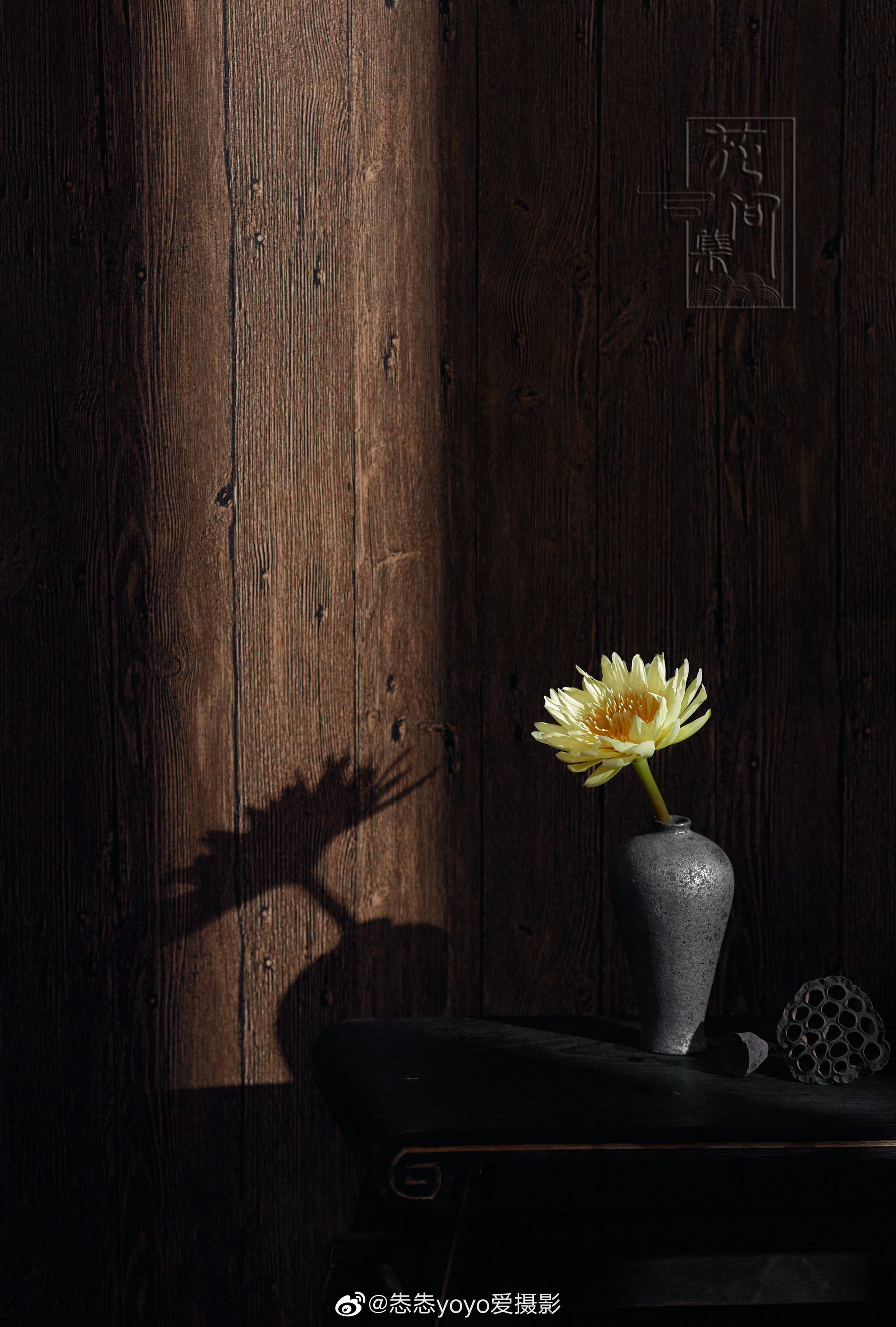 中式禅意商品图拍摄品牌甲小莲厦门花间集汉服体验馆