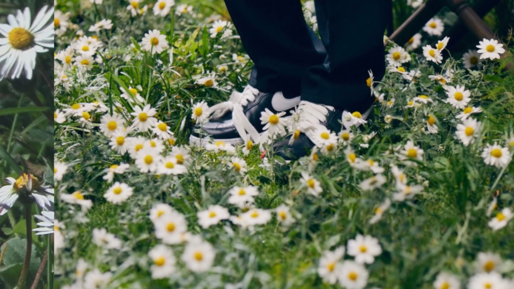 簇拥在雏菊花丛中的peaceminusonexnikeairforce1paranoise