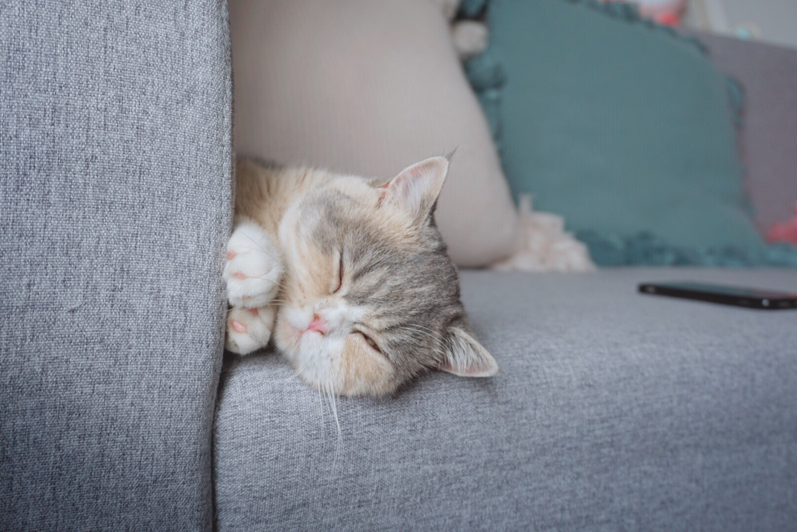 好困~坚…持…不…住…了!ZzZ……