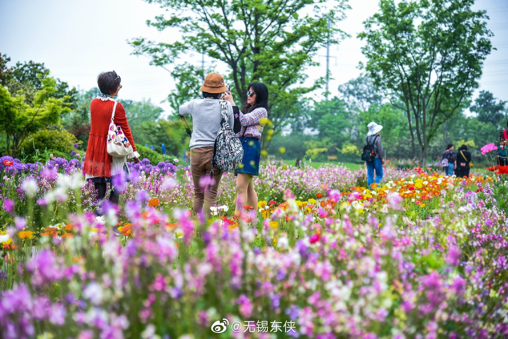 无锡九龙湾花彩小镇 我们又来走一回花间小道