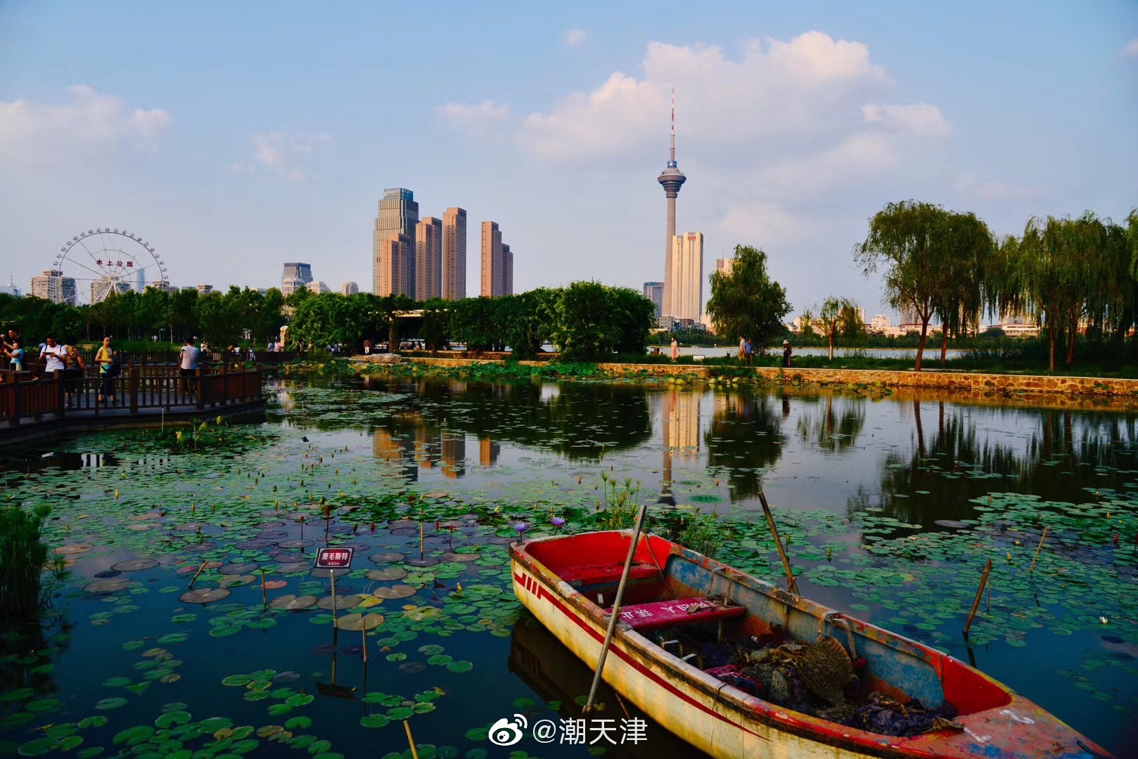 大美我大天津|水上公园|老师|天津_新浪新闻