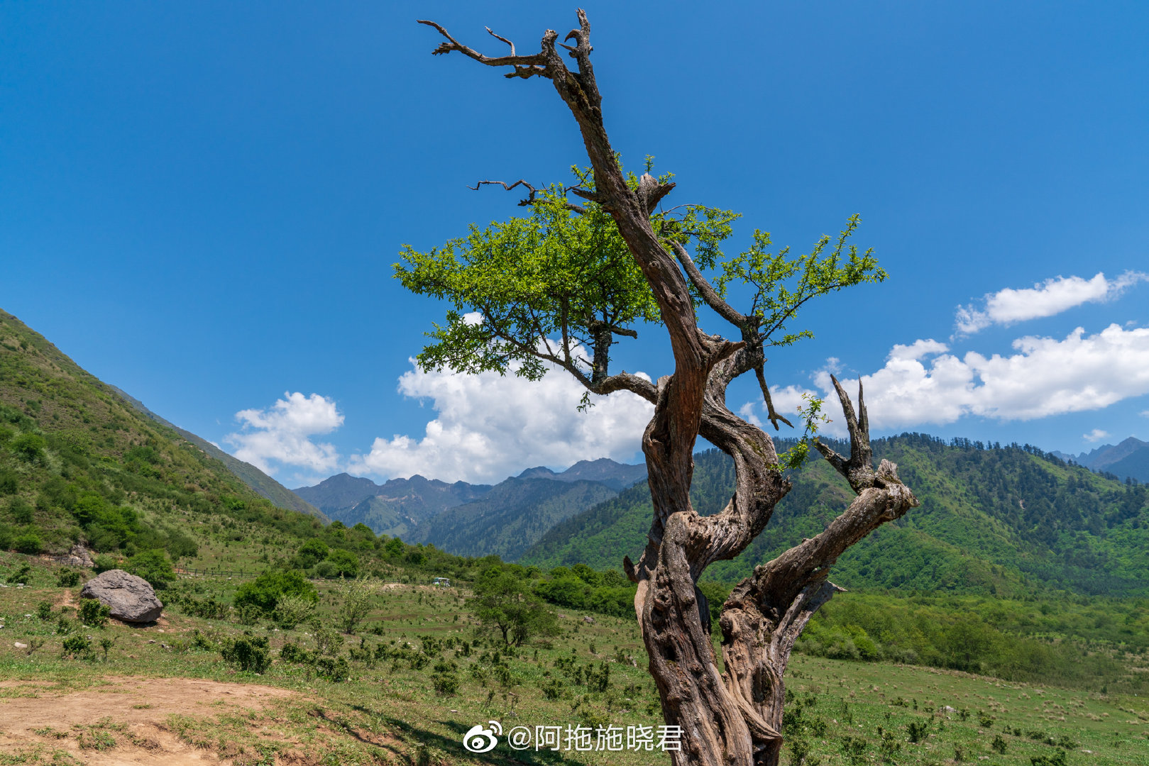 孟获城是三国时期诸葛亮七擒孟获之地,2600米的海拔正正好