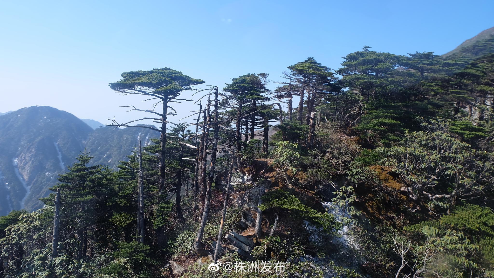 今日才知,苍山十九峰十