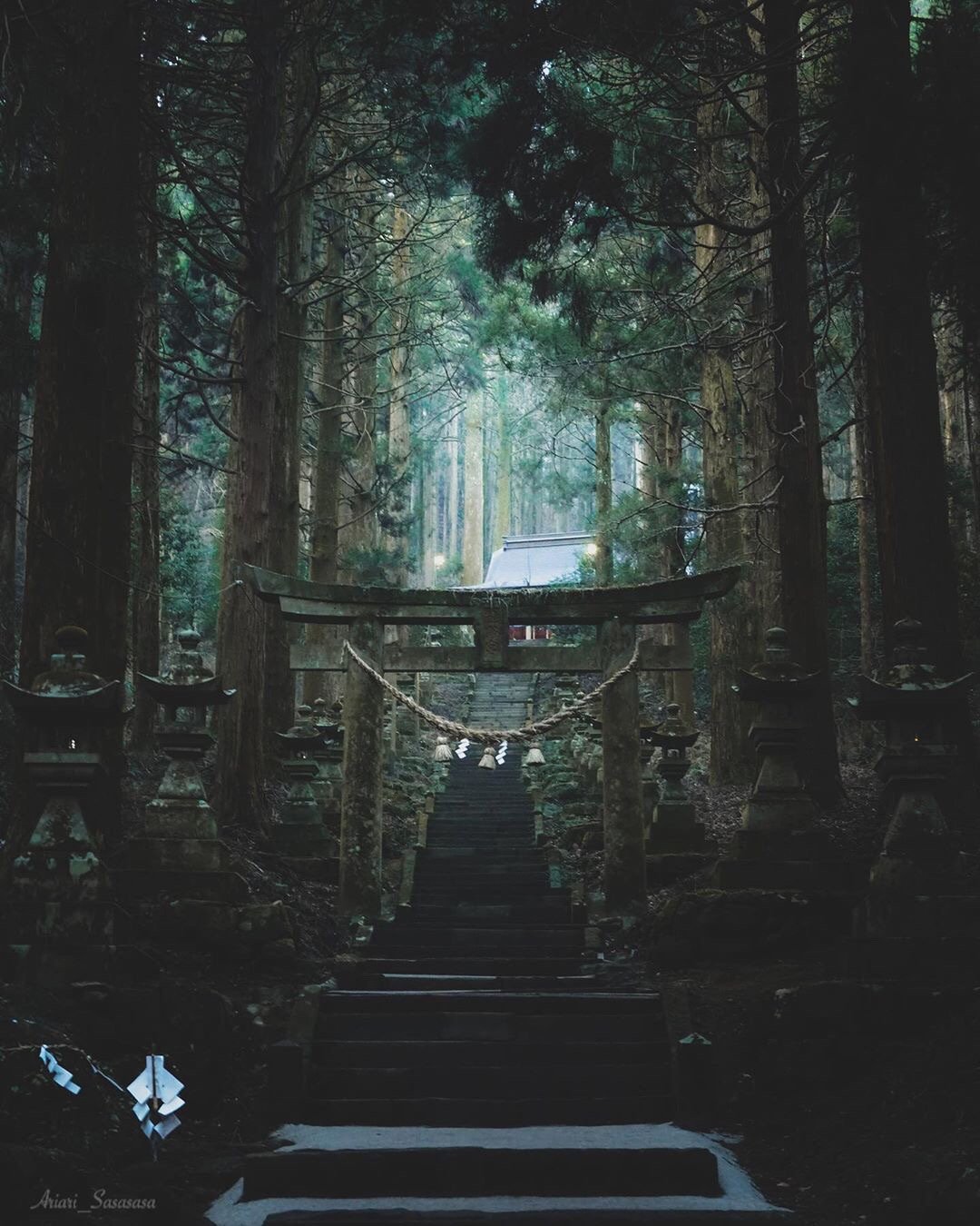萤火之森 的原景地上色见熊野座神社 四季都有独特的神秘美感