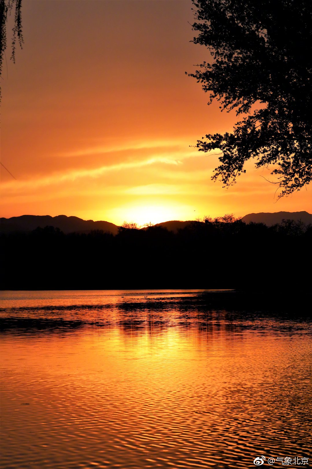 来,看晚霞,超漂亮!组图由_兔兔_摄于圆明园