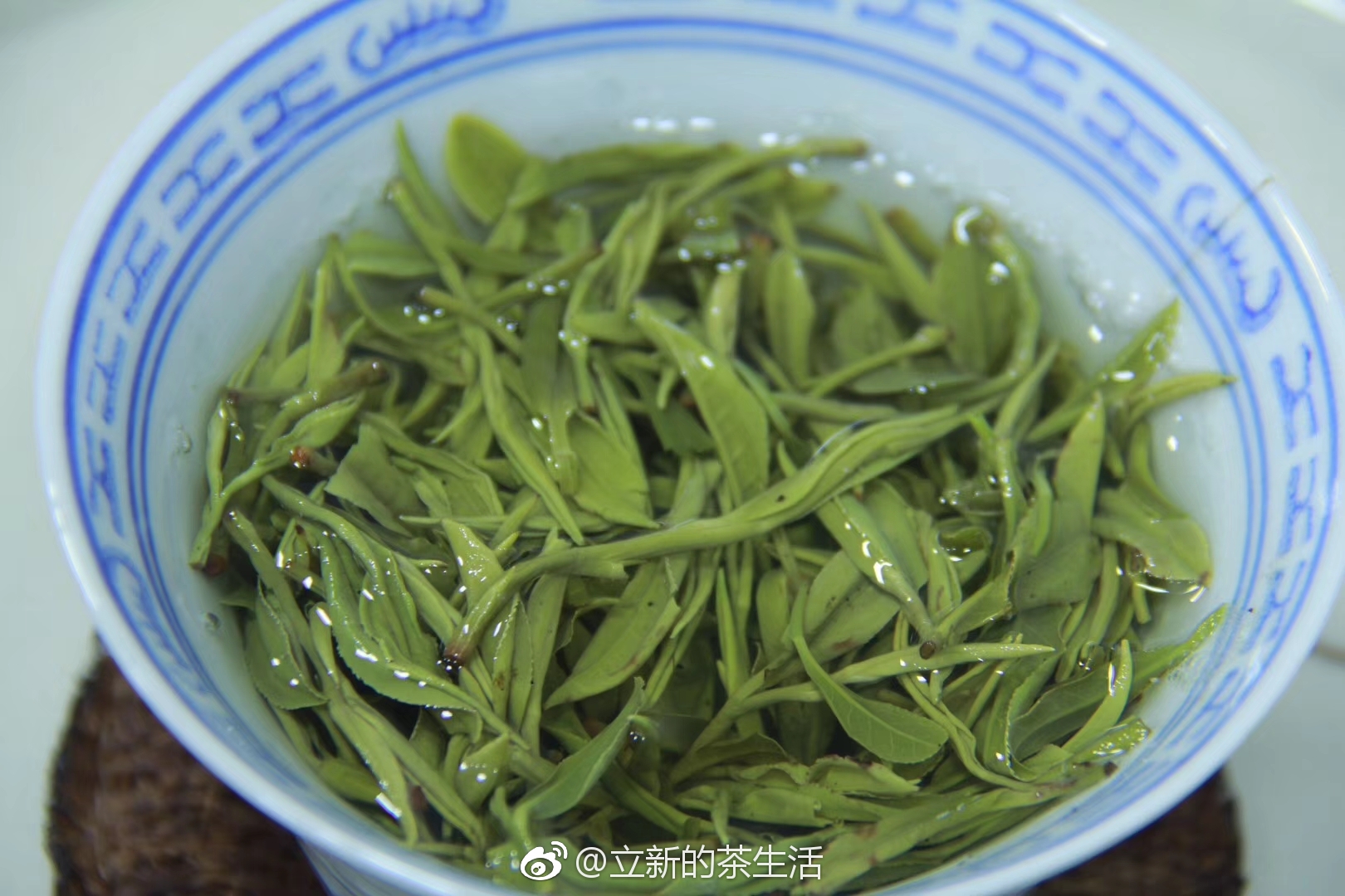 中国十大名茶-简易百科