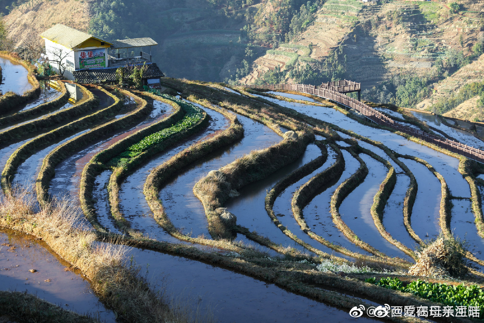 连绵成片的壮阔,层层而上的错落之美造就了梯田绝佳的视觉效果