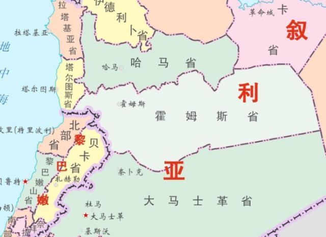 继伊朗之后叙利亚一友好邻国也陷入危机抗议浪潮已席卷全国