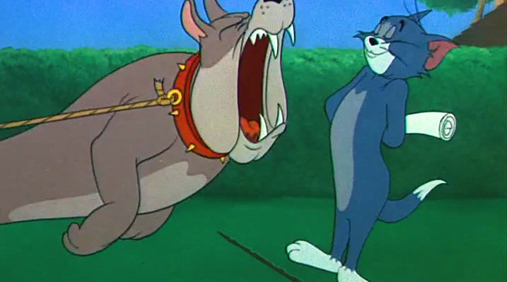 经典动画《猫和老鼠》片段:jerry救了大狗,然后大狗当jerry的保镖